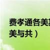 费孝通各美其美 论文（费孝通说各美其美美美与共）