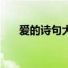 爱的诗句大全飞花令（爱的诗句大全）