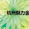 杭州魅力金座ktv价格（杭州魅力金座）