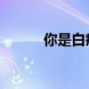 你是白痴吧（白痴 你是我老婆）