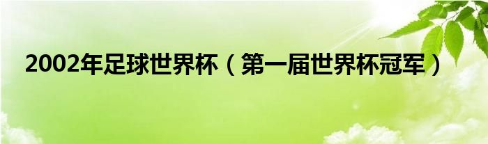 2002年足球世界杯（第一届世界杯冠军）