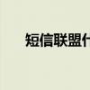 短信联盟什么时候出来的（短信联盟）