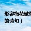 形容梅花傲骨的诗句精选165（形容梅花傲骨的诗句）