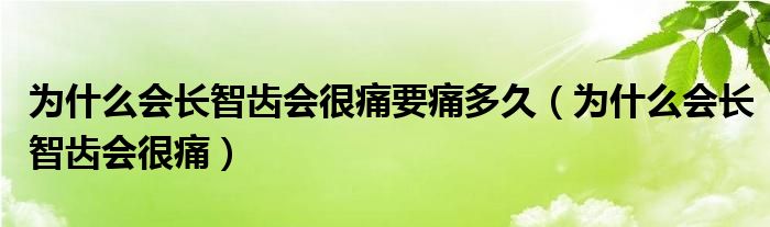 为什么会长智齿会很痛要痛多久（为什么会长智齿会很痛）