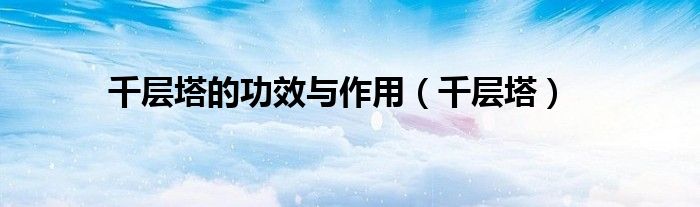 千层塔的功效与作用（千层塔）