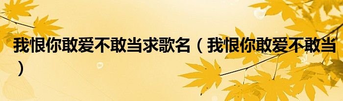 我恨你敢爱不敢当求歌名（我恨你敢爱不敢当）