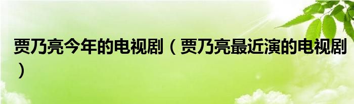 贾乃亮今年的电视剧（贾乃亮最近演的电视剧）