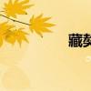 藏獒给养吗（藏獒喂养）