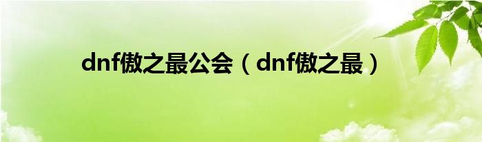 dnf傲之最公会（dnf傲之最）