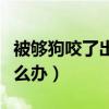 被够狗咬了出血怎么办啊（被够狗咬了出血怎么办）