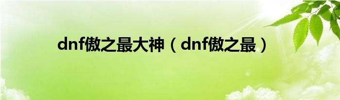 dnf傲之最大神（dnf傲之最）