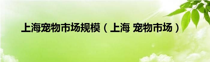 上海宠物市场规模（上海 宠物市场）