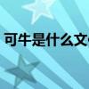 可牛是什么文件夹可以删除吗（可牛是什么）