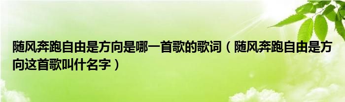 随风奔跑自由是方向是哪一首歌的歌词（随风奔跑自由是方向这首歌叫什名字）