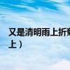 又是清明雨上折菊寄到你身旁这首歌的原唱是（又是清明雨上）