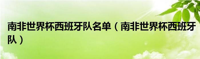 南非世界杯西班牙队名单（南非世界杯西班牙队）