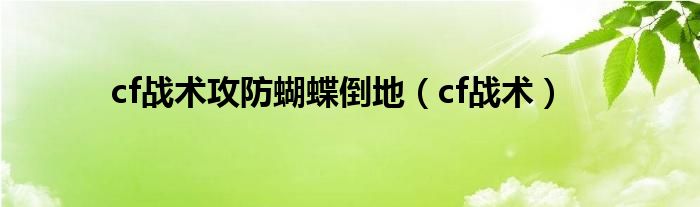 cf战术攻防蝴蝶倒地（cf战术）