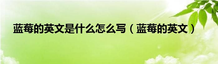 蓝莓的英文是什么怎么写（蓝莓的英文）