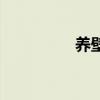 养壁虎吃什么（养壁虎）