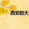 西安的大学有哪些（西安大学名单）