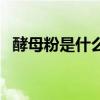 酵母粉是什么原料做成的（酵母粉是什么）