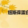 纽斯葆蛋白粉（安利纽崔莱蛋白质粉）