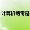 计算机病毒是一种程序（计算机病毒是一种）