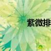 紫微排盘app推荐（紫微排盘）