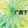 广西下雪是哪一年（广西下雪）