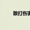 散打伤害高吗（散打带什么武器）
