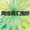 网络词汇围脖是什么意思（围脖是什么意思）