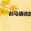 刹马镇说的是什么方言（刹马镇在哪）