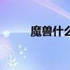 魔兽什么叫一需多贪（一需多贪）