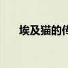埃及猫的传说有哪些（埃及猫的传说）
