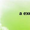 a exercise book（a exe）