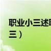 职业小三述职报告 Sunny的十二月（职业小三）