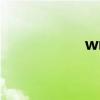 wm6.5系统（wm6）