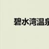 碧水湾温泉是真温泉吗（碧水湾温泉）