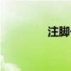 注脚一般指的什么（注脚）
