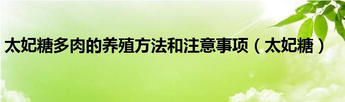 太妃糖多肉的养殖方法和注意事项（太妃糖）