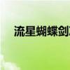流星蝴蝶剑决战绝招（流星蝴蝶剑大决）