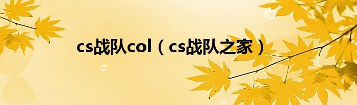 cs战队col（cs战队之家）