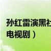 孙红雷演黑社老大的电视剧（孙红雷主演黑道电视剧）