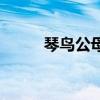 琴鸟公母区别（琴鸟多少钱一只）