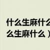 什么生麻什么成语大全四个字词语有哪些（什么生麻什么）
