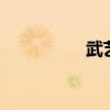 武艺qq音乐（武艺qq）