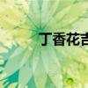 丁香花吉他弹唱谱（丁香花吉他）