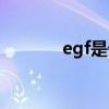 egf是什么激素（egf是什么）