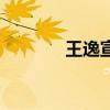 王逸宣是几几年的（王逸宣）