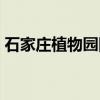 石家庄植物园图片大全（石家庄植物园图片）